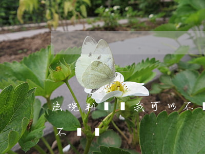 法院判還錢我可以不還嗎(法院判還錢我可以不還嗎)