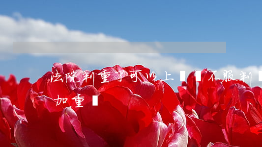 法院判重了可以上訴嗎(不服判決可以上訴會加重嗎)