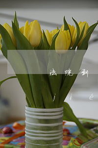 法院到執(zhí)行環(huán)節(jié)了可以撤訴嗎(法院強(qiáng)制執(zhí)行階段可以撤訴嗎)