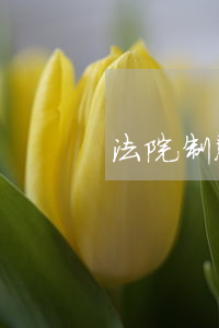 法院制服可以改吗(法院的制服是什么样子的)