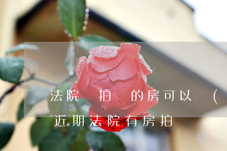 法院剛拍賣的房可以轉(zhuǎn)讓嗎(近期法院有房拍賣嗎)