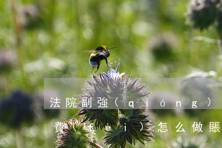 法院副強(qiáng)制執(zhí)行費(fèi)怎么做賬(強(qiáng)制執(zhí)行法院收取費(fèi)用是多少)