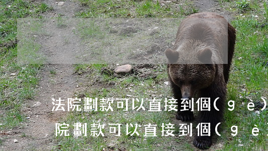法院劃款可以直接到個(gè)人賬戶嗎(法院劃款可以直接到個(gè)人賬戶嗎)