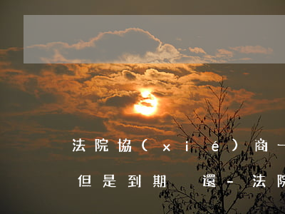 法院協(xié)商一年內(nèi)還款但是到期沒還-法院協(xié)商一年內(nèi)還款但是到期沒還怎么辦