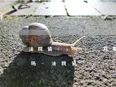 法院協(xié)商每年還款還能申請多還嗎-法院協(xié)商每年還款還能申請多還嗎怎么寫