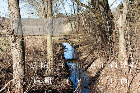 法院協(xié)商流程信用卡逾期(銀行卡逾期協(xié)商)