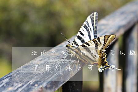 法院单向冻结账户可以撤销吗(法院冻结账户,再开新账户可以吗)