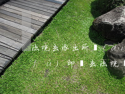 法院去派出所調(diào)卷宗可以復(fù)印嗎(去法院調(diào)取卷宗手續(xù))