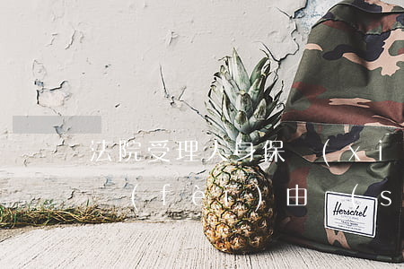 法院受理人身保險(xiǎn)糾紛的訴訟費(fèi)由誰(shuí)負(fù)擔(dān)