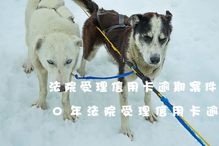 法院受理信用卡逾期案件流程上海-2020年法院受理信用卡逾期拖欠案件吗?