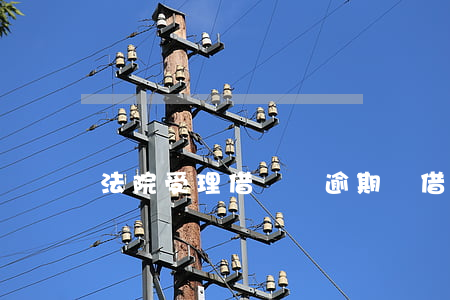 法院受理借貸寶逾期嗎(借貸寶可以起訴嗎)