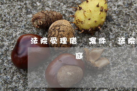 法院受理借錢案件嗎(法院受理借貸案大約多長時間開庭)