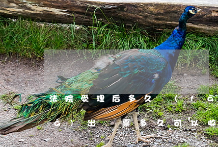 法院受理后多久發(fā)傳票(法院發(fā)出傳票多久可以收到)