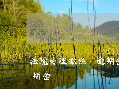法院受理微粒貸逾期金額(法院受理微粒貸逾期金額)