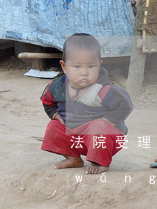法院受理網(wǎng)貸逾期案子嗎(網(wǎng)貸逾期起訴立案需要多久)