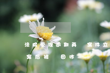 法院受理逾期再審案件立案后-再審案件立案后被駁回咋辦