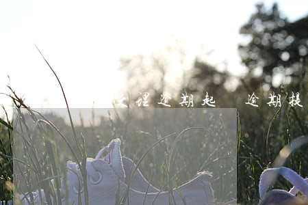 法院受理逾期起訴(逾期提起訴訟)