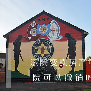 法院变卖房产可以延迟过户吗(房子已过户法院可以撤销吗)