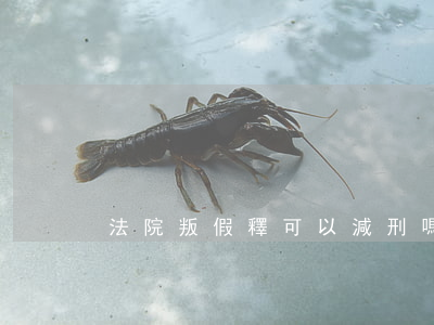 法院叛假釋可以減刑嗎