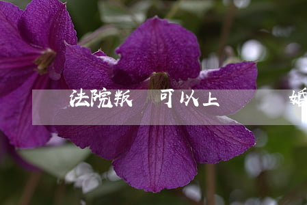 法院叛離可以上訴嗎(離婚判決可以上訴么)