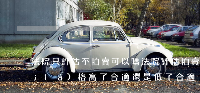 法院只評估不拍賣可以嗎(法院評估拍賣價(jià)格高了合適還是低了合適)