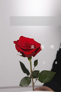 法院可以一直不結(jié)案嗎(法院結(jié)案是不是就沒事了)