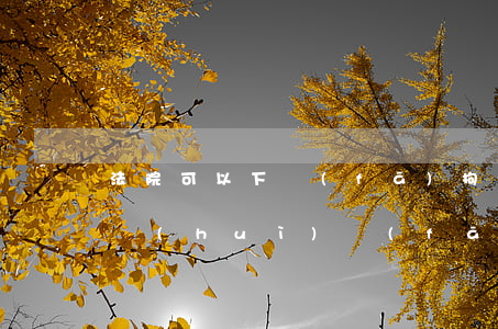 法院可以下發(fā)拘捕令嗎(什么情況下會(huì)發(fā)拘捕令)