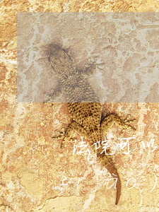 法院可以不準(zhǔn)申請法院調(diào)查嗎(當(dāng)事人是否可以向法院申請調(diào)查令)