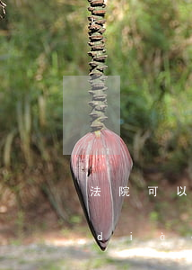 法院可以不調(diào)取嗎(法院不調(diào)取證據(jù)怎么辦)