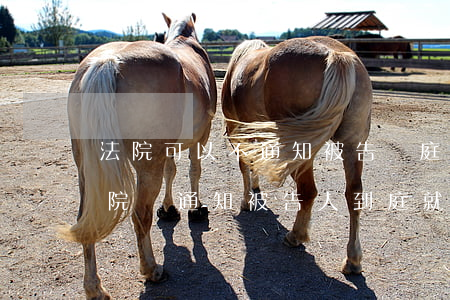 法院可以不通知被告開庭直接下判決書嗎(法院沒通知被告人到庭就能判決嗎)