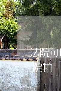 法院可以不進(jìn)行第三次拍賣嗎(法院拍賣是二次還是三次)