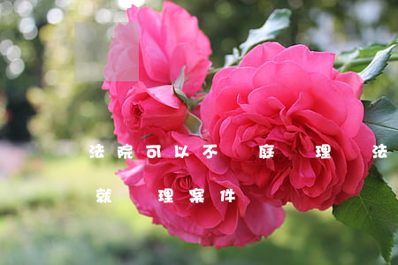 法院可以不開庭審理嗎(法院是否可以不開庭就處理案件)