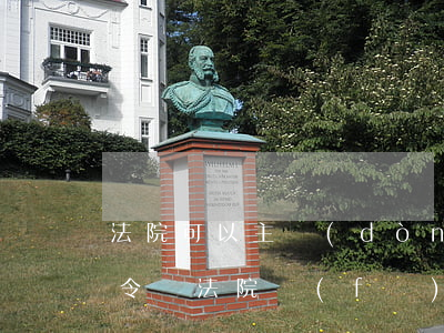 法院可以主動(dòng)發(fā)支付令嗎(法院發(fā)的支付令有什么用)