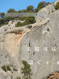 法院可以主動確認(rèn)合同無效嗎(確認(rèn)合同無效的法律依據(jù))