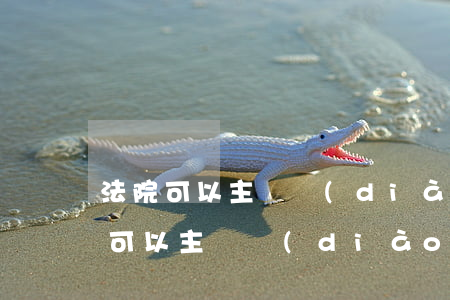 法院可以主動調(diào)查案件嗎(法院可以主動調(diào)查案件嗎)