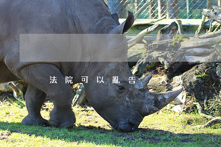 法院可以亂告別人嗎