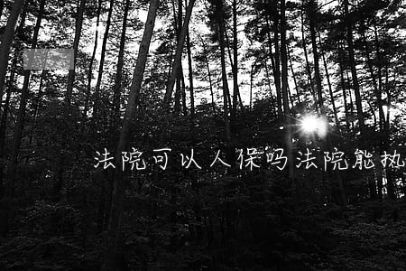 法院可以人保吗(法院能执行人寿保单吗)