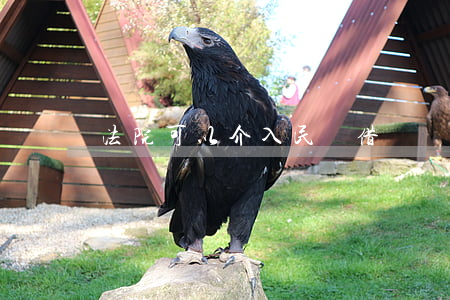 法院可以介入民間借貸嗎(法院不受理民間借貸)