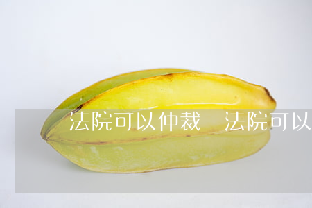法院可以仲裁嗎(法院可以仲裁嗎)