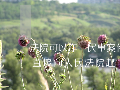 法院可以作為民事案件的被告嗎(當事人可以直接向人民法院起訴的民事案件)