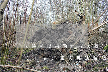 法院可以來函的方式調(diào)取證據(jù)嗎(人民法院調(diào)取證據(jù)函)