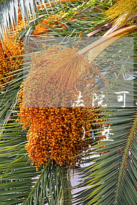法院可以依職權(quán)調(diào)整嗎(法院之間可以調(diào)動(dòng)嗎)