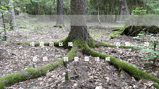 法院可以依職權確認合同無效嗎(違反法律的合同無效需要法院確認嗎)