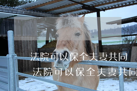 法院可以保全夫妻共同財產(chǎn)嗎(法院可以保全夫妻共同財產(chǎn)嗎)