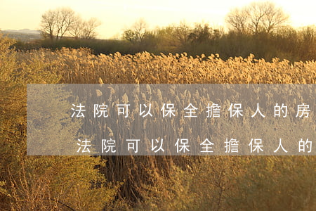 法院可以保全擔保人的房產(chǎn)嗎(法院可以保全擔保人的房產(chǎn)嗎)
