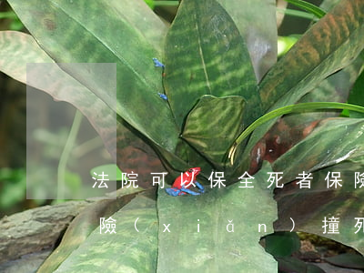 法院可以保全死者保險(xiǎn)嗎(全保險(xiǎn)撞死人自己要賠錢嗎)