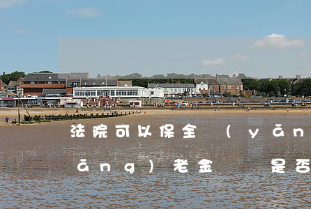 法院可以保全養(yǎng)老金嗎(養(yǎng)老金賬戶是否可以財產保全)