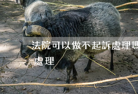 法院可以做不起訴處理嗎(不起訴后案件如何處理)