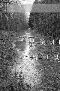 法院可以做微信證據(jù)提取嗎(微信截屏可以做法院的證據(jù)嗎)