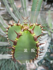 法院可以先查封工资吗(法院封着工资可以执行房产吗)